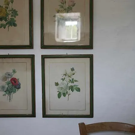 Villa Trullo Iduna *